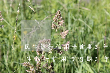 民生銀行信用卡逾期3年為什么不起訴-民生銀行信用卡逾期3年為什么不起訴了