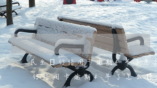 民生銀行信用卡逾期4年了怎么辦-民生銀行信用卡逾期4年了怎么辦理