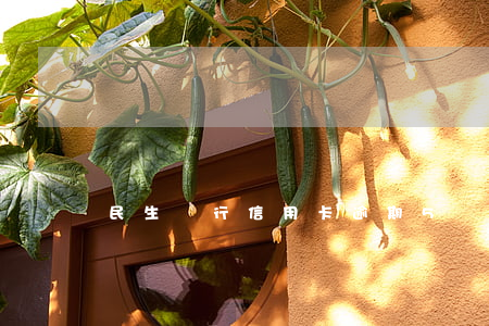 民生銀行信用卡逾期5個(gè)月立案嗎