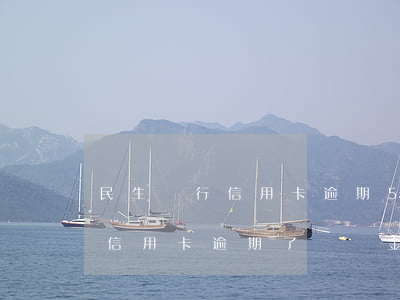 民生銀行信用卡逾期5天有事嗎(民生銀行的信用卡逾期了違約金能取消嗎)