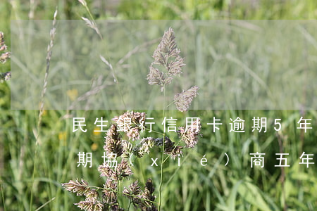 民生銀行信用卡逾期5年如何-民生銀行逾期協(xié)商五年還款,現(xiàn)在不承認(rèn)