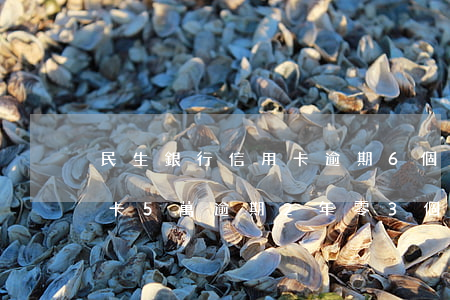 民生銀行信用卡逾期6個月(欠民生銀行信用卡5萬逾期2年零3個月為還款)
