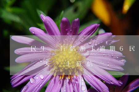 民生銀行信用卡逾期6(民生銀行信用卡逾期幾天會上征信嗎)