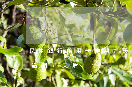 民生銀行信用卡逾期7天后(民生銀行信用卡逾期7天后)