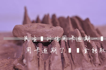 民生銀行信用卡逾期一個小時(民生銀行的信用卡逾期了違約金能取消嗎)