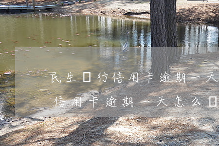 民生銀行信用卡逾期一天怎么辦-民生銀行信用卡逾期一天怎么辦理