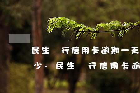 民生銀行信用卡逾期一天收費(fèi)多少-民生銀行信用卡逾期一天收費(fèi)多少錢