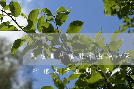 民生銀行信用卡逾期一天有影響嗎-民生銀行信用卡逾期一天有影響嗎知乎
