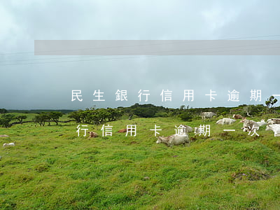 民生銀行信用卡逾期一次會降額嗎-民生銀行信用卡逾期一次會降額嗎知乎