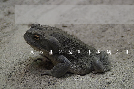 民生銀行信用卡逾期三個(gè)月