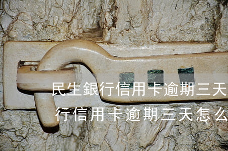 民生銀行信用卡逾期三天怎么處理-民生銀行信用卡逾期三天怎么處理的