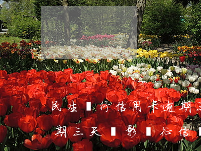 民生銀行信用卡逾期三天(民生銀行信用卡逾期三天會影響征信嗎?)