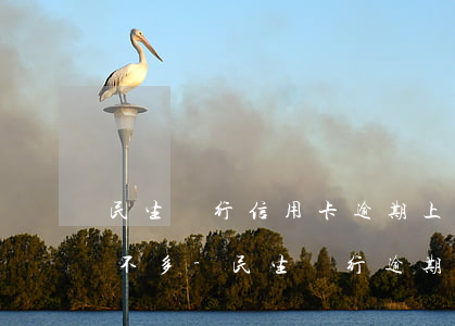 民生銀行信用卡逾期上門(mén)幾率多不多-民生銀行逾期上門(mén)沒(méi)找到人還會(huì)再來(lái)嗎