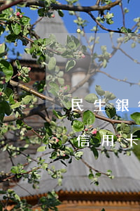 民生銀行信用卡逾期上門催收嗎-民生銀行信用卡逾期會(huì)怎么樣