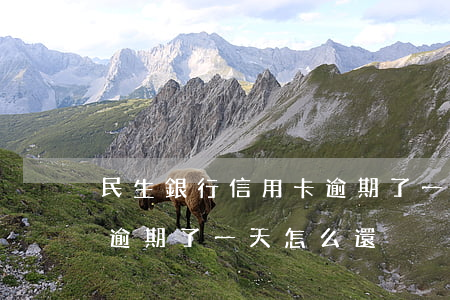 民生銀行信用卡逾期了一天(民生銀行信用卡逾期了一天怎么還)