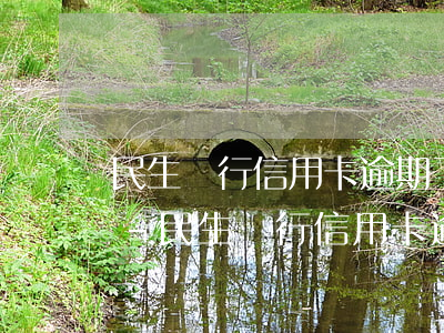 民生銀行信用卡逾期了可以恢復(fù)嗎-民生銀行信用卡逾期了可以恢復(fù)嗎安全嗎