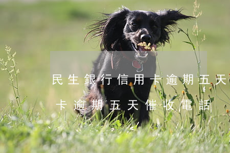 民生銀行信用卡逾期五天催收 民生銀行信用卡逾期五天催收電話