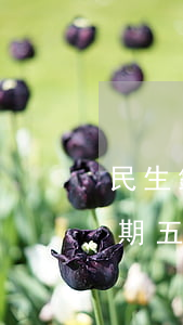 民生銀行信用卡逾期五天(民生銀行信用卡逾期五天會(huì)有記錄嗎)