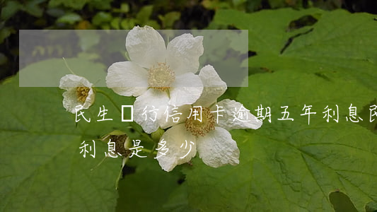 民生銀行信用卡逾期五年利息(民生銀行逾期利息是多少)