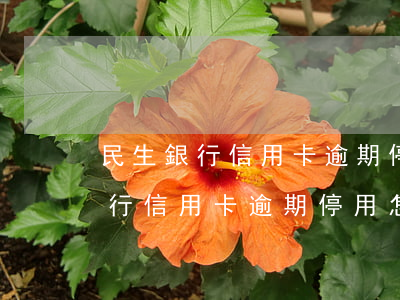 民生銀行信用卡逾期停用怎么開卡-民生銀行信用卡逾期停用怎么開卡呢