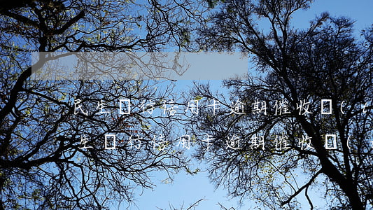 民生銀行信用卡逾期催收態(tài)度(民生銀行信用卡逾期催收態(tài)度不好)