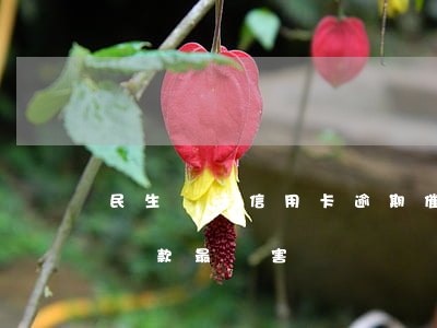 民生銀行信用卡逾期催款(民生銀行信用卡催還款最厲害)
