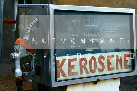民生銀行信用卡逾期內(nèi)部協(xié)商電話-民生銀行信用卡逾期內(nèi)部協(xié)商電話是多少