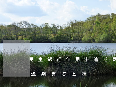 民生銀行信用卡逾期兩三天(民生銀行信用卡逾期會怎么樣)