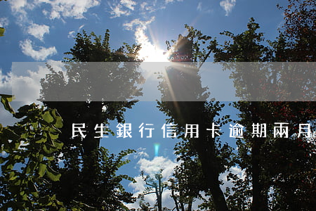 民生銀行信用卡逾期兩月被立案