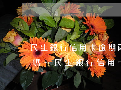 民生銀行信用卡逾期兩期會(huì)被停嗎-民生銀行信用卡逾期兩期會(huì)被停嗎知乎