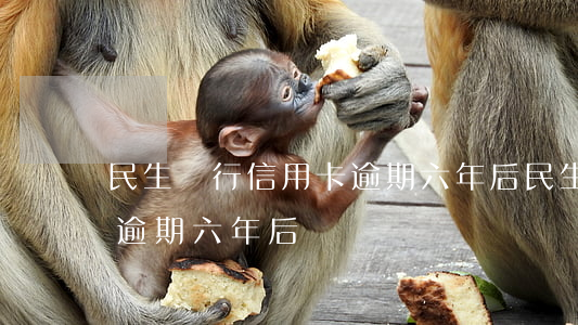 民生銀行信用卡逾期六年后(民生銀行信用卡逾期六年后)