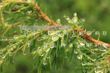 民生銀行信用卡逾期利息那么高合法嗎?-民生銀行信用卡逾期利息那么高合法嗎