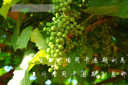 民生銀行信用卡逾期利息那么高,合法嗎?（民生銀行信用卡逾期利息那么高）