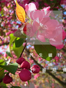 民生銀行信用卡逾期十天才還 民生銀行信用卡逾期會(huì)怎么樣