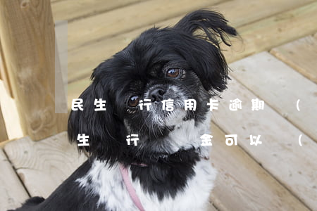 民生銀行信用卡逾期協(xié)商方案(民生銀行違約金可以協(xié)商嗎)