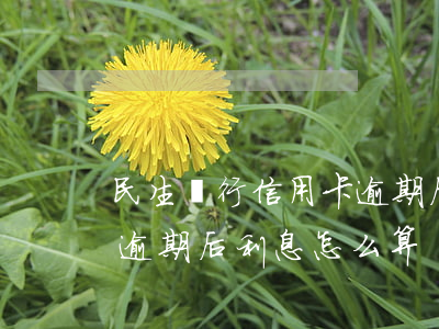 民生銀行信用卡逾期后利息(民生銀行信用卡逾期后利息怎么算)