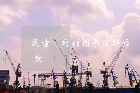 民生銀行信用卡逾期后罰款(民生銀行巨額罰款)