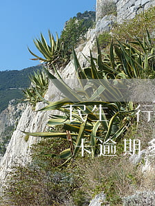 民生銀行信用卡逾期多久上訴(民生銀行信用卡逾期多久上訴)