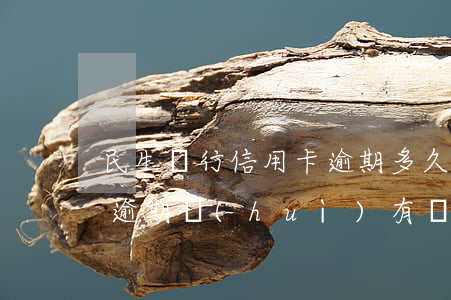 民生銀行信用卡逾期多久上門(民生銀行信用逾期會(huì)有執(zhí)法部門上門嗎)