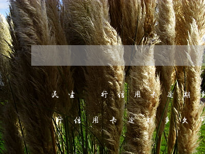 民生銀行信用卡逾期多久可以激活-民生銀行信用卡逾期多久可以激活使用