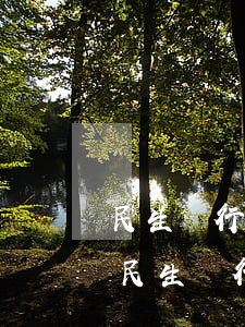民生銀行信用卡逾期多久會凍結(jié)(民生銀行逾期會立案,會被公安局逮捕嗎)