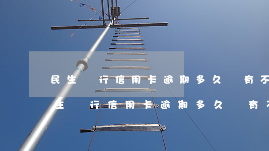 民生銀行信用卡逾期多久會有不良記錄-民生銀行信用卡逾期多久會有不良記錄