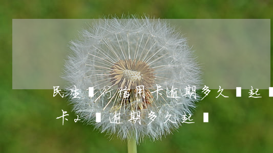 民生銀行信用卡逾期多久會起訴6(民生信用卡2萬逾期多久起訴)