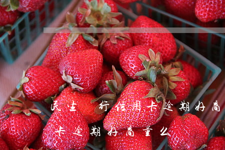 民生銀行信用卡逾期好商量么(民生銀行信用卡逾期好商量么)