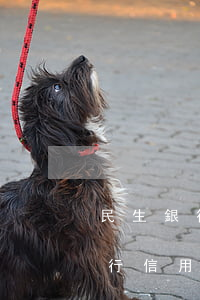 民生銀行信用卡逾期寬容期有幾天-民生銀行信用卡逾期寬容期有幾天時(shí)間