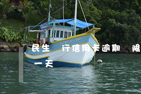 民生銀行信用卡逾期寬限日(民生信用卡 逾期一天)