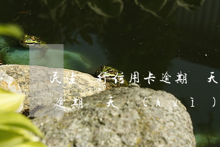 民生銀行信用卡逾期幾天-民生銀行信用卡逾期幾天會(huì)凍結(jié)信用卡