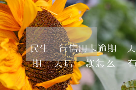 民生銀行信用卡逾期幾天催收-民生銀行逾期幾天后還款怎么還有催收電話