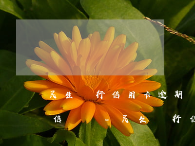 民生銀行信用卡逾期幾天會(huì)有征信記錄-民生銀行信用卡逾期幾天會(huì)有征信記錄嗎