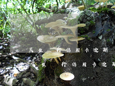 民生銀行信用卡逾期幾天會給家里打電話-民生銀行信用卡逾期幾天會給家里打電話嗎